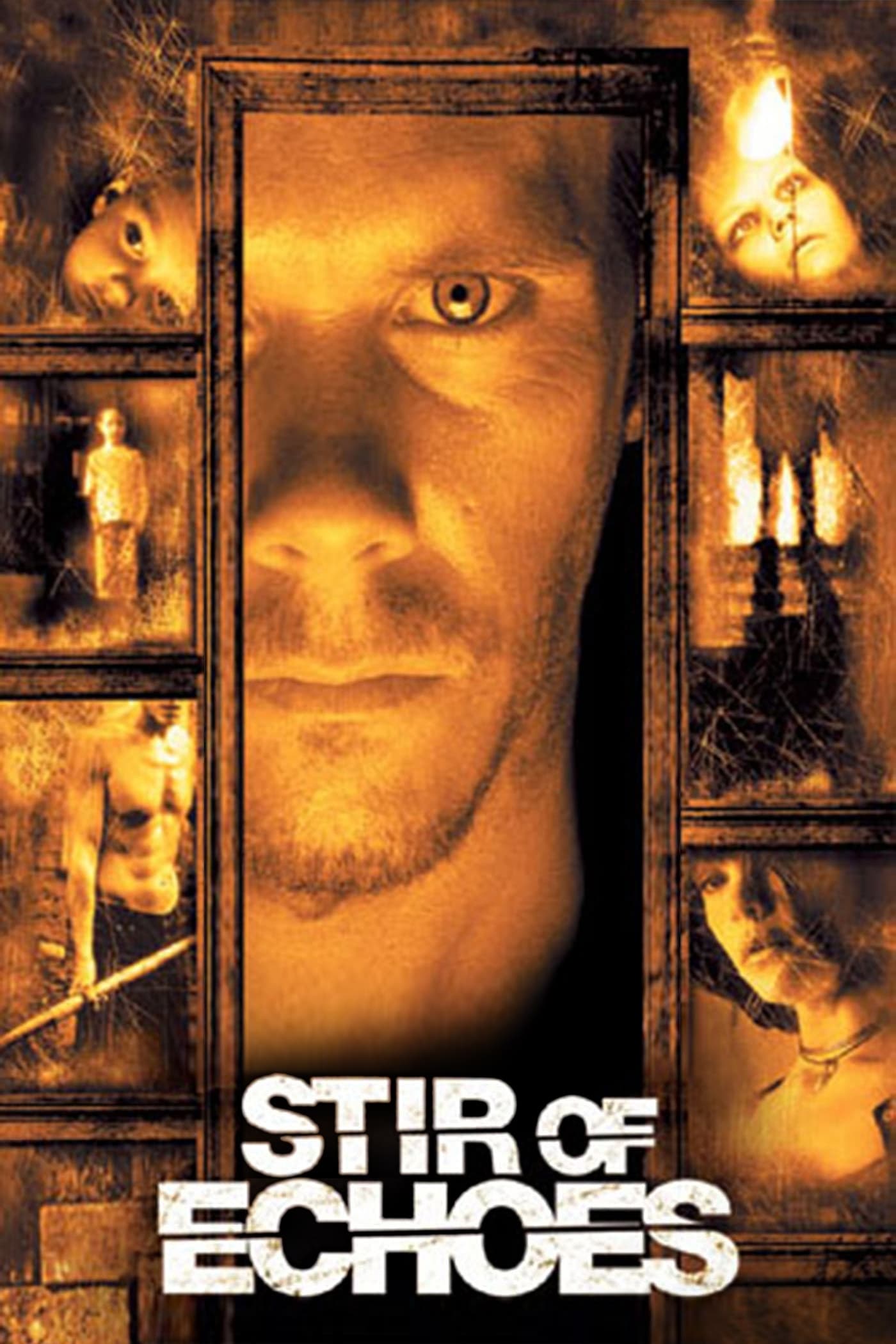 Постер Stir of Echoes